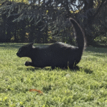 ลอง ปั่น สล็อต PG Slot แบบไหนให้สนุกและกำไร